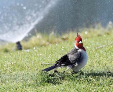 Cooling off